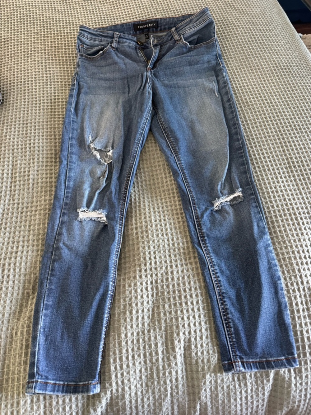 Prosperity Women's Distressed Blue Skinny Jeans Petite